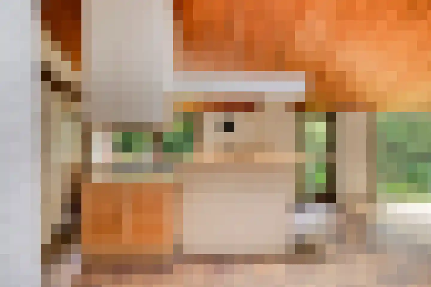 Oude Rijsbergsebaan 6 Breda thumbnail 20