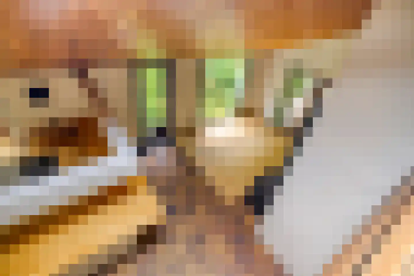 Oude Rijsbergsebaan 6 Breda thumbnail 33