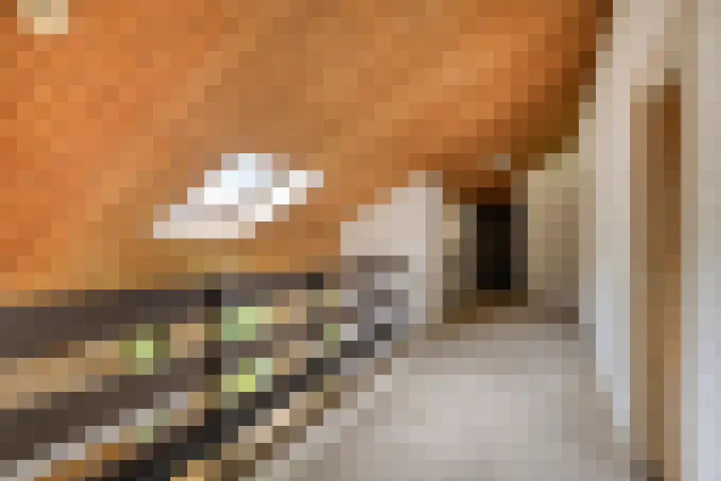 Oude Rijsbergsebaan 6 Breda thumbnail 34