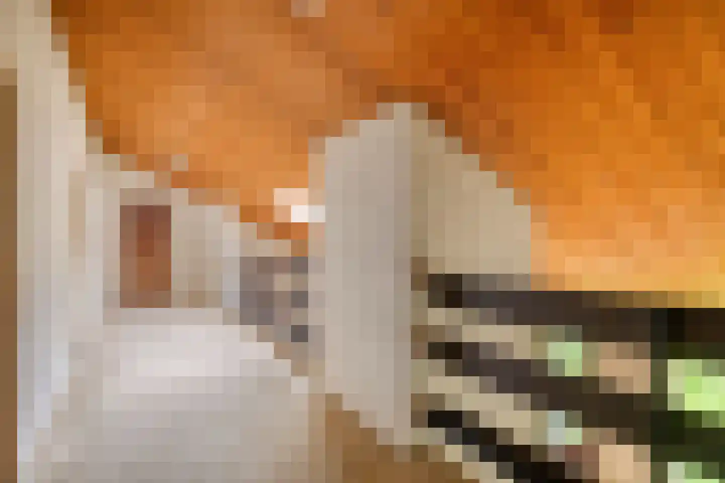 Oude Rijsbergsebaan 6 Breda thumbnail 35