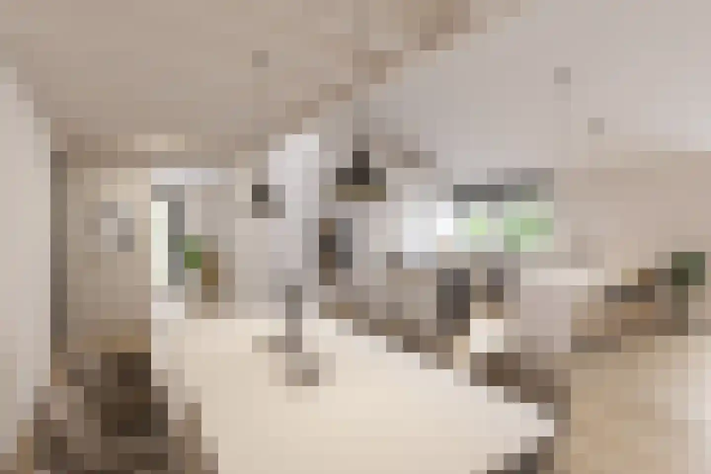 Oude Rijsbergsebaan 6 Breda thumbnail 4