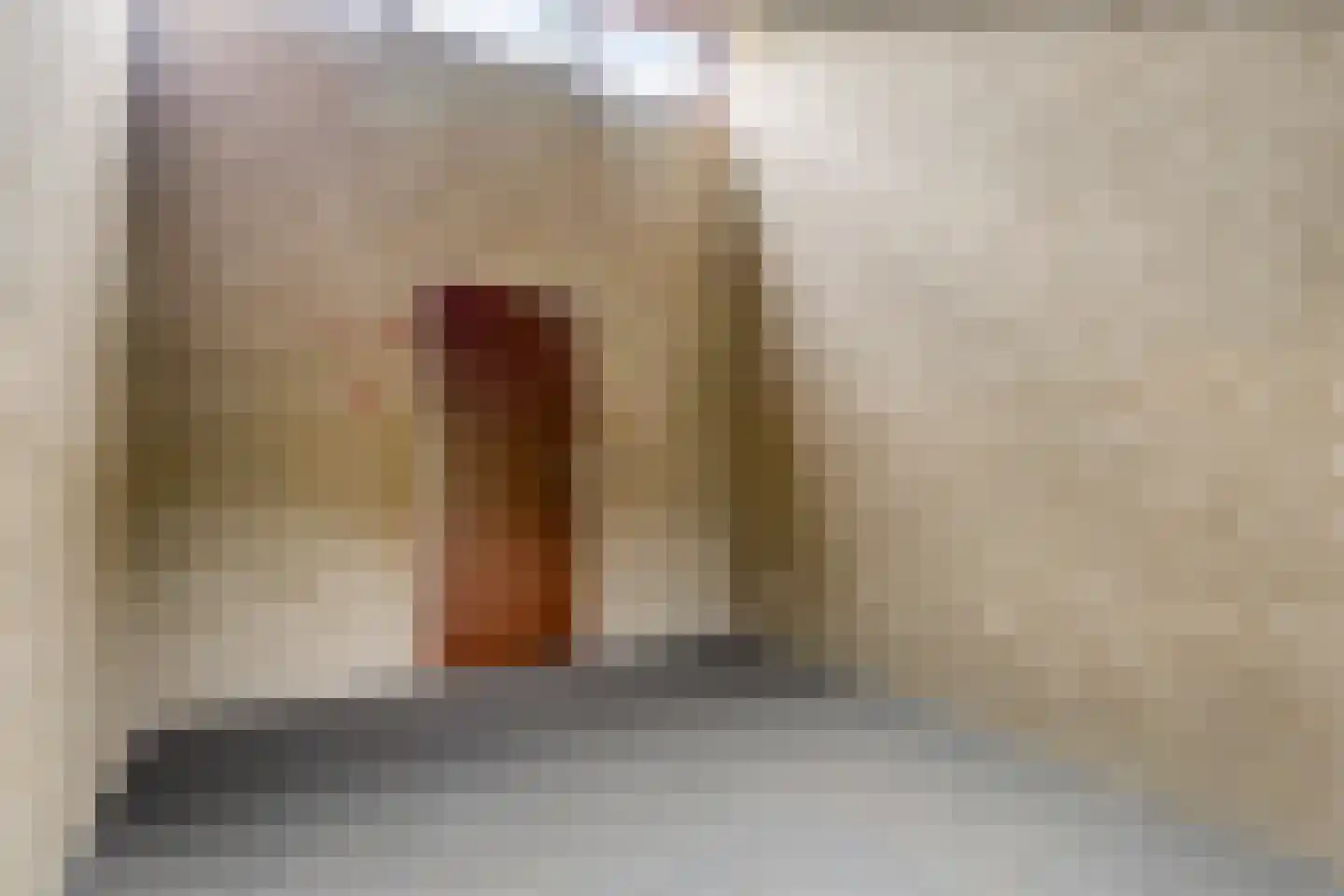Oude Rijsbergsebaan 6 Breda thumbnail 44
