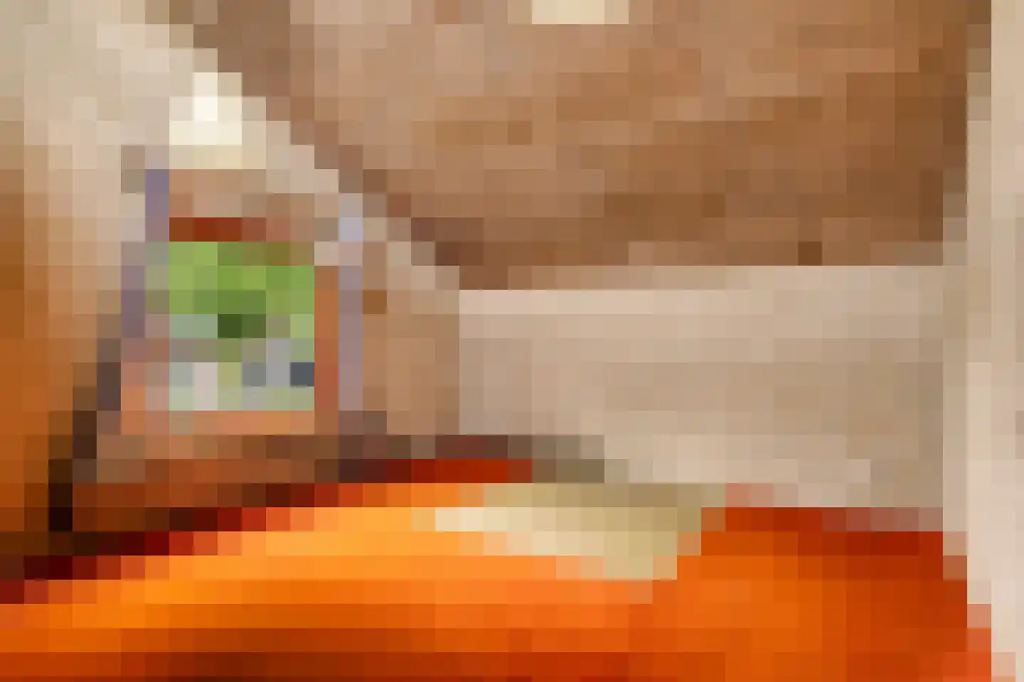 Oude Rijsbergsebaan 6 Breda thumbnail 47