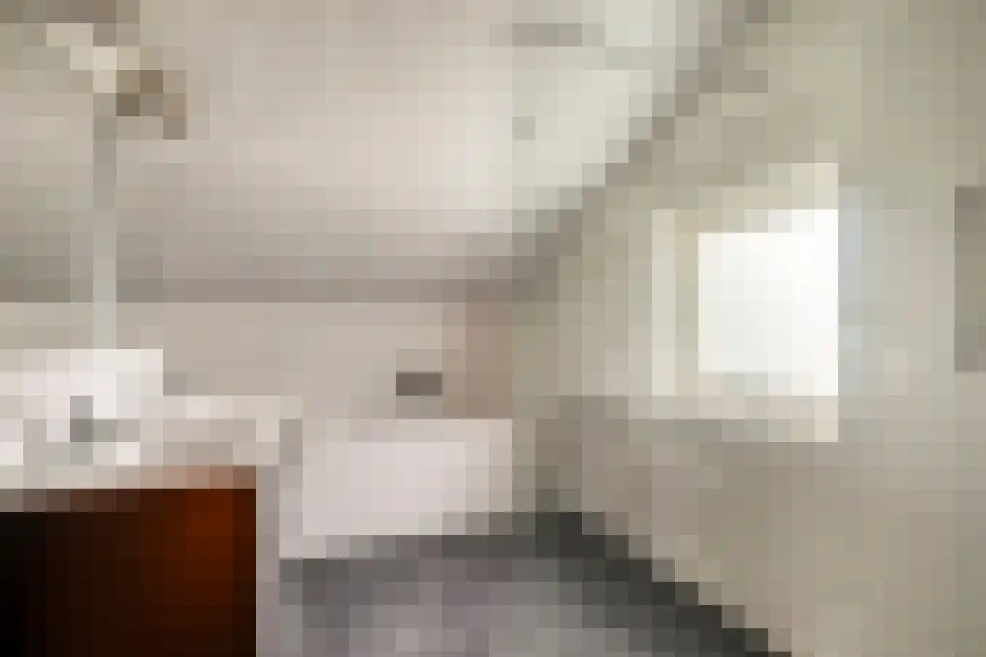 Oude Rijsbergsebaan 6 Breda thumbnail 49