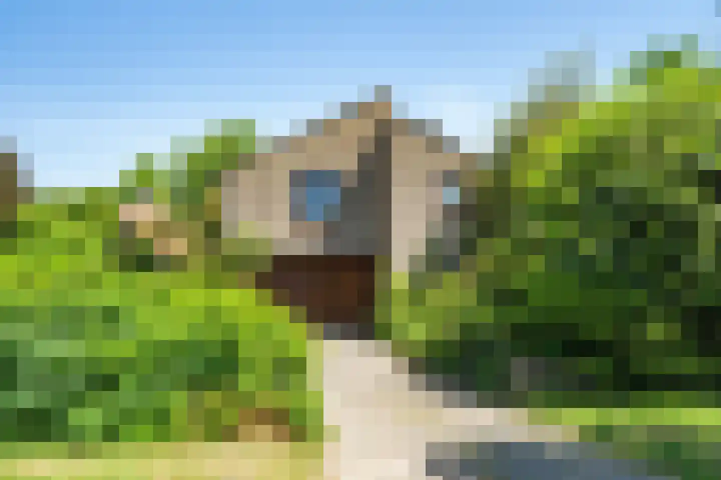 Oude Rijsbergsebaan 6 Breda thumbnail 5