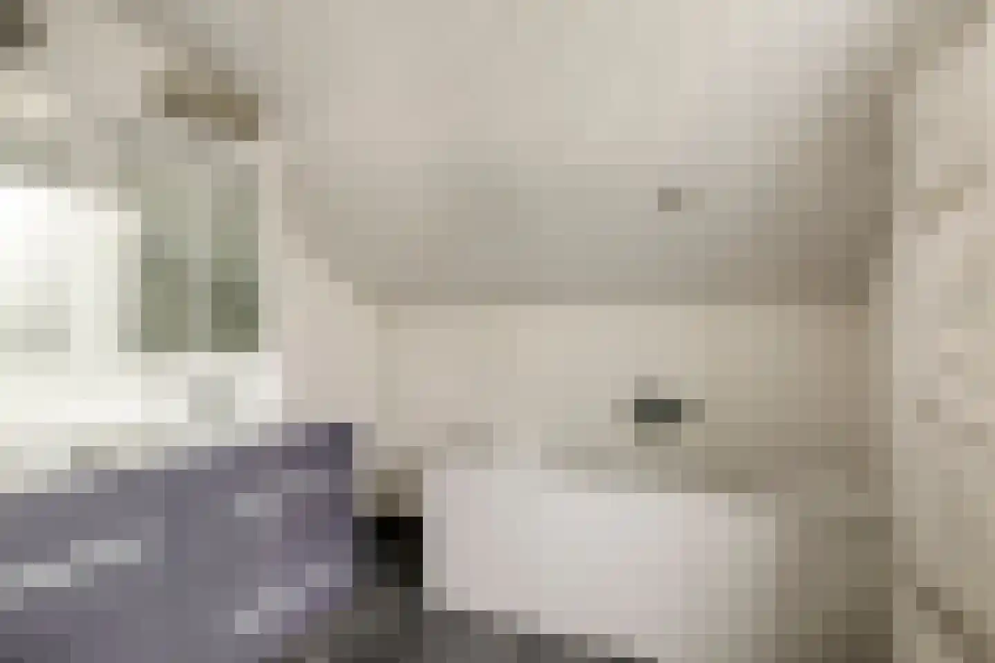 Oude Rijsbergsebaan 6 Breda thumbnail 50