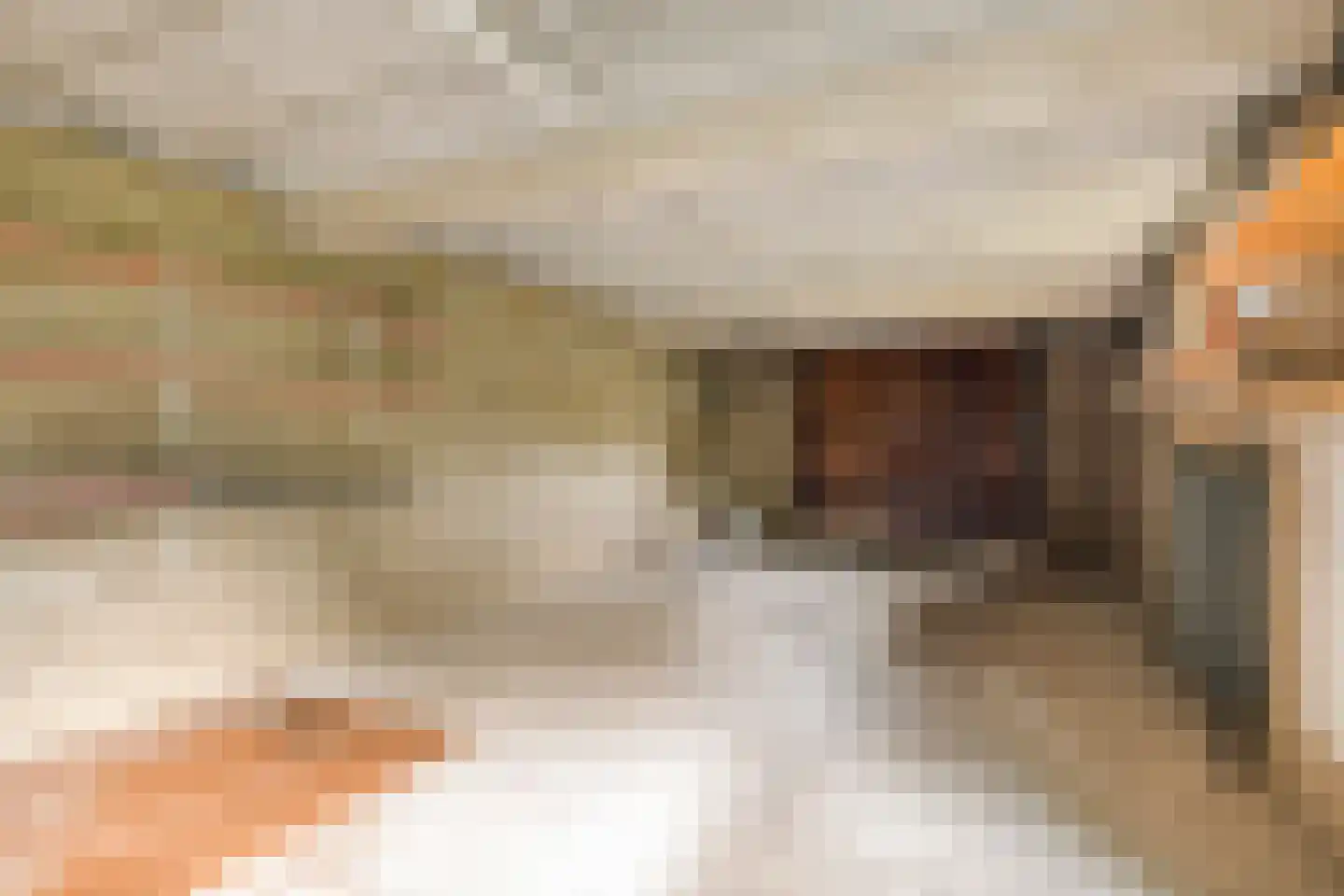Oude Rijsbergsebaan 6 Breda thumbnail 52