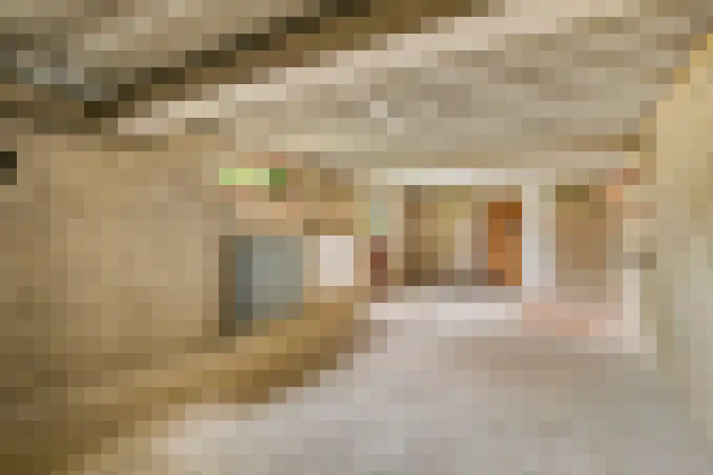 Oude Rijsbergsebaan 6 Breda thumbnail 53