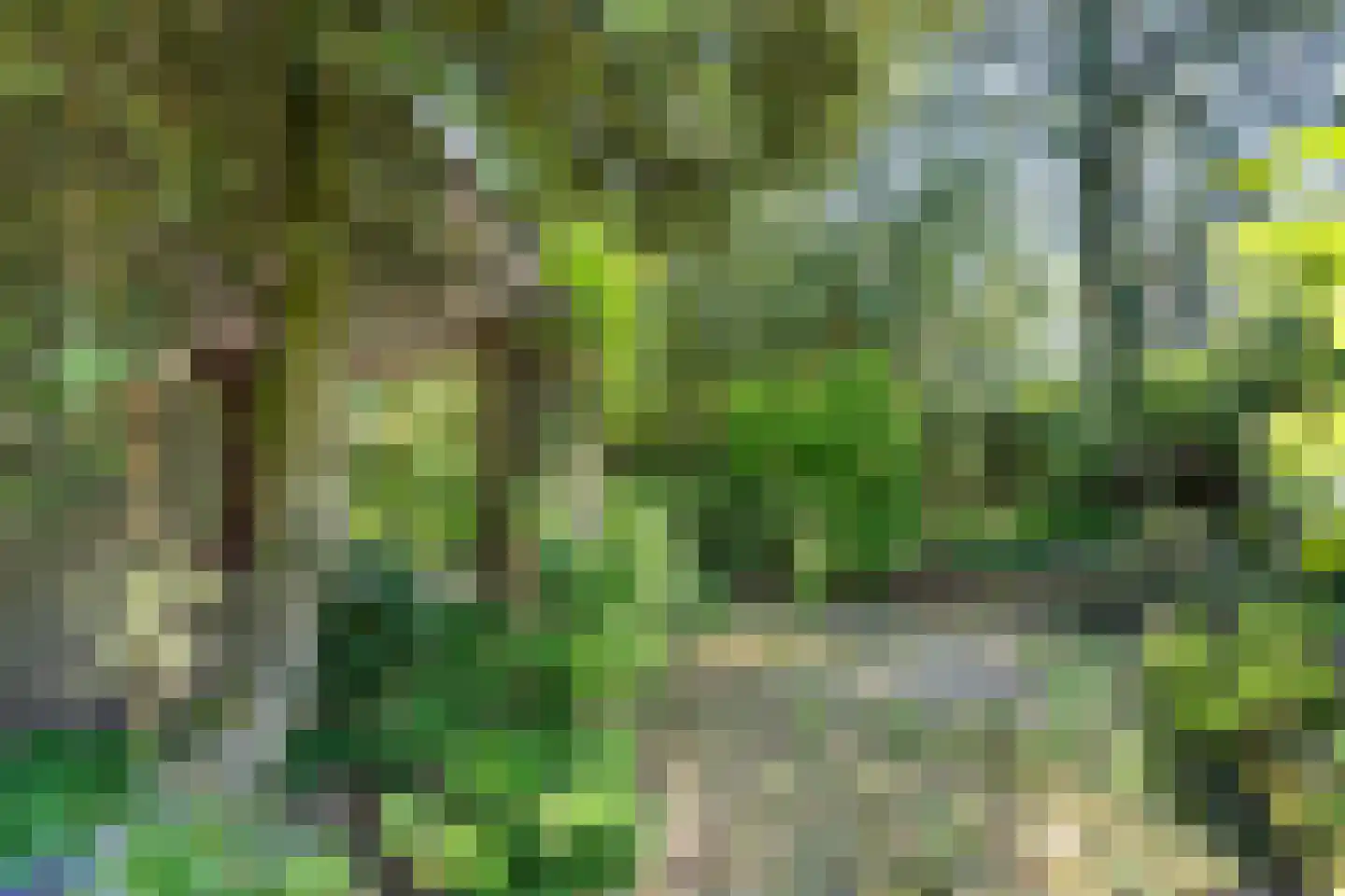 Oude Rijsbergsebaan 6 Breda thumbnail 54