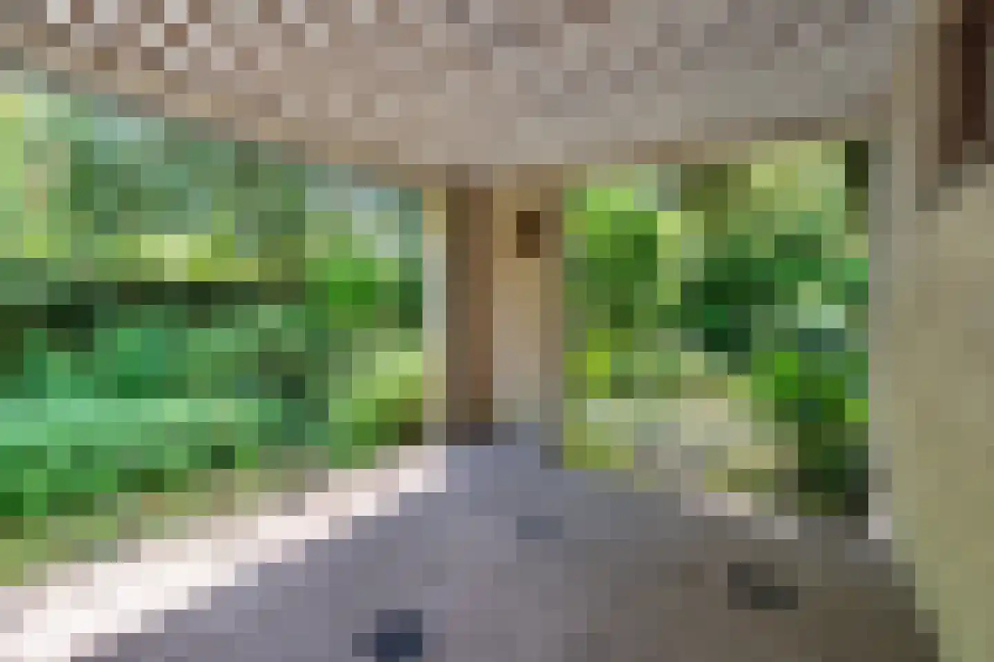 Oude Rijsbergsebaan 6 Breda thumbnail 55
