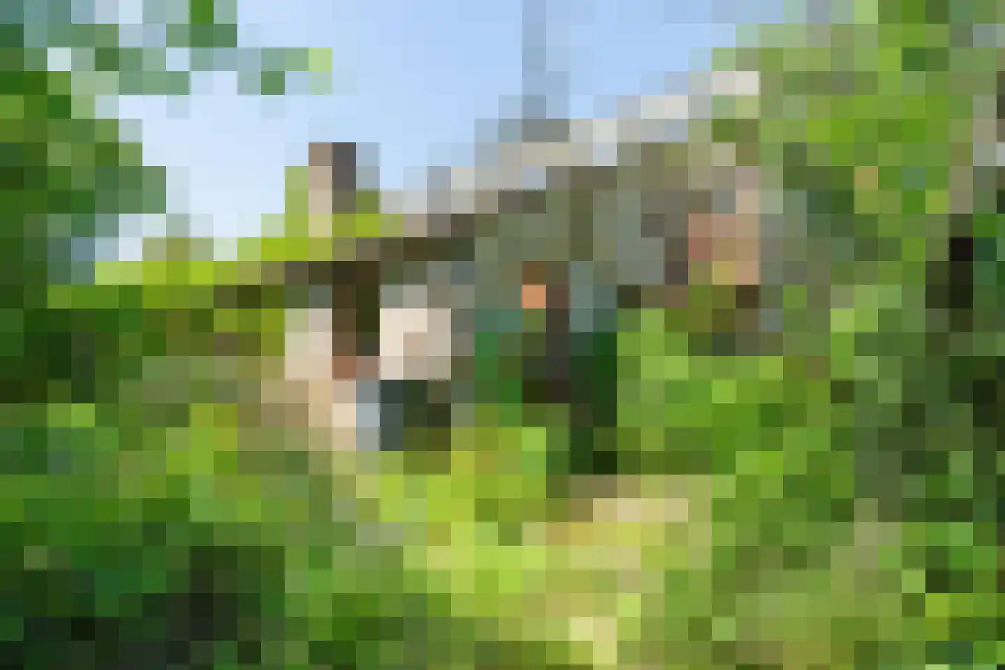 Oude Rijsbergsebaan 6 Breda thumbnail 57
