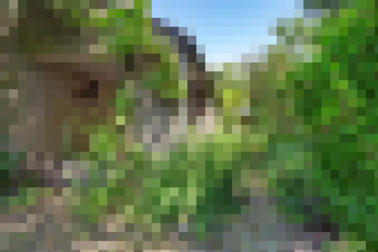 Oude Rijsbergsebaan 6 Breda thumbnail 58