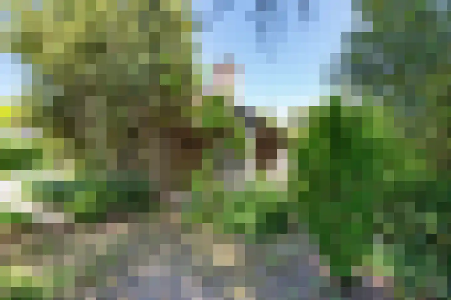 Oude Rijsbergsebaan 6 Breda thumbnail 59
