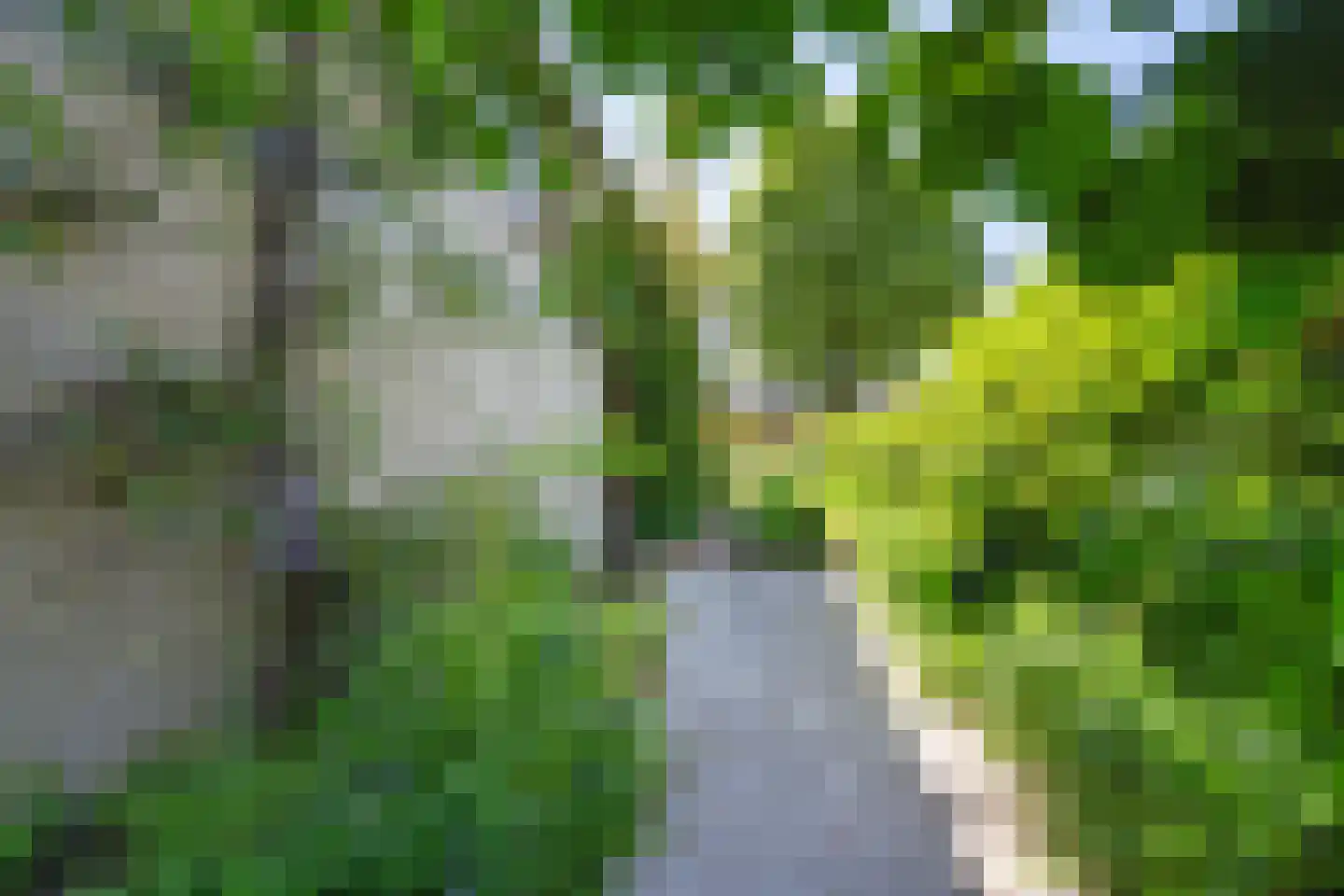 Oude Rijsbergsebaan 6 Breda thumbnail 61