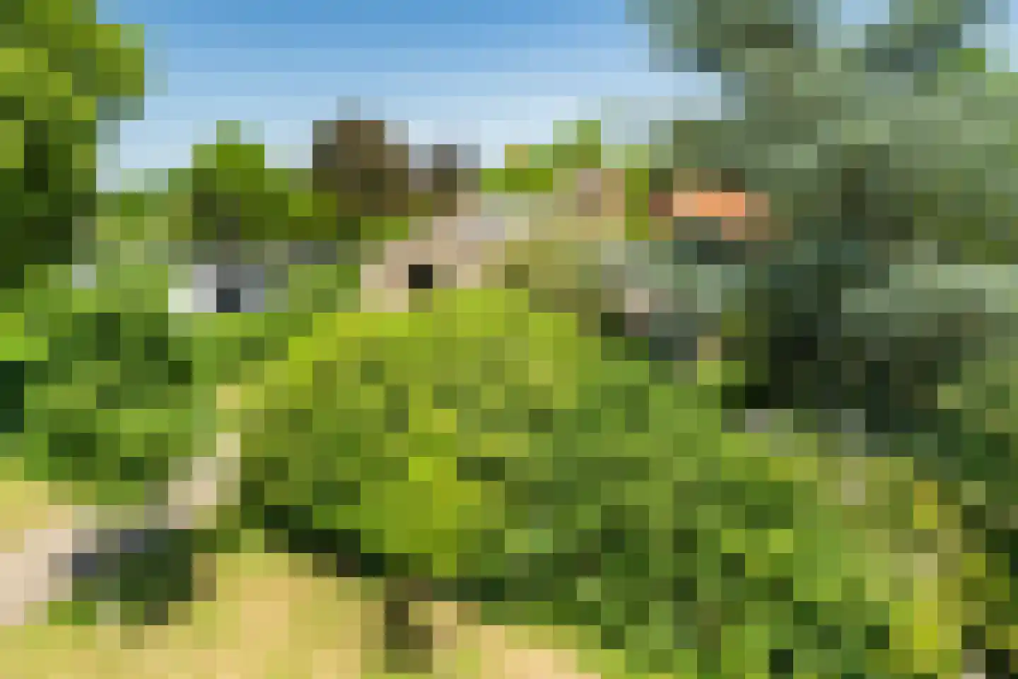 Oude Rijsbergsebaan 6 Breda thumbnail 66