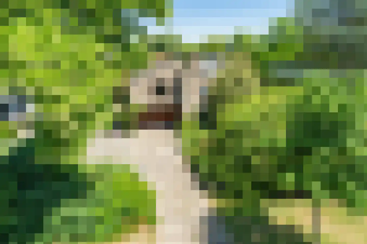 Oude Rijsbergsebaan 6 Breda thumbnail 67