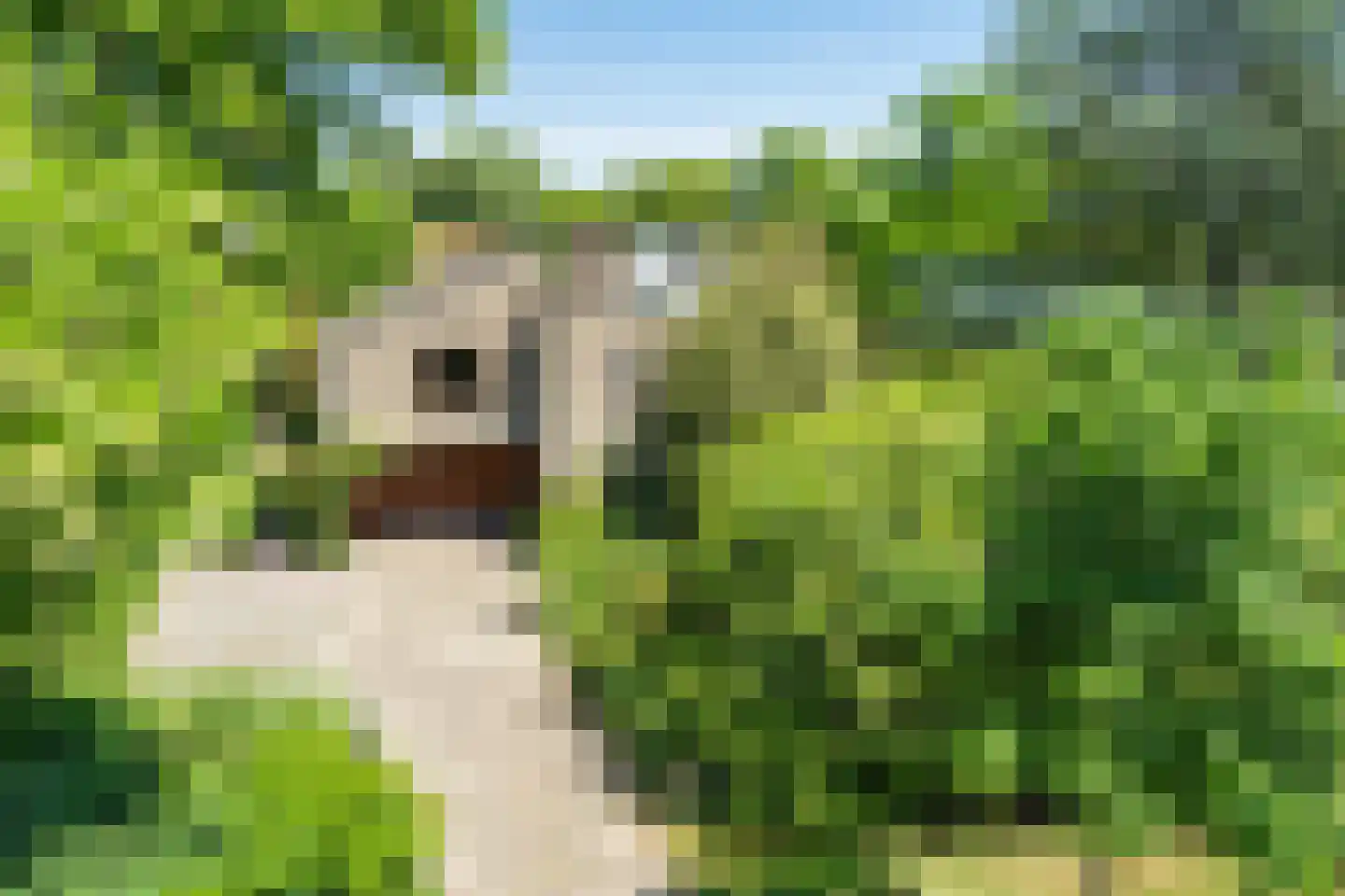 Oude Rijsbergsebaan 6 Breda thumbnail 68