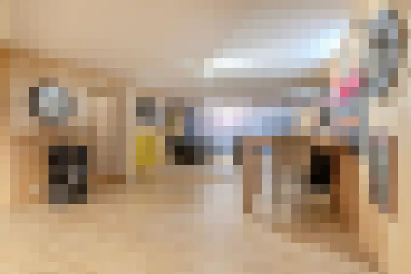 Oude Rijsbergsebaan 77 Breda thumbnail 17