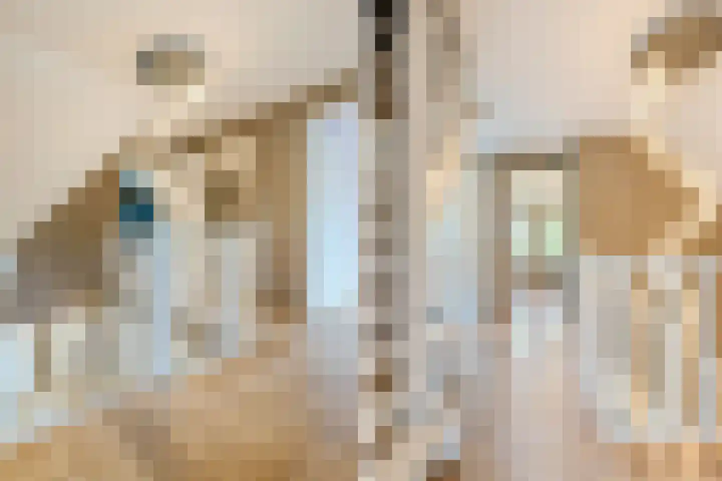 Oude Rijsbergsebaan 77 Breda thumbnail 21