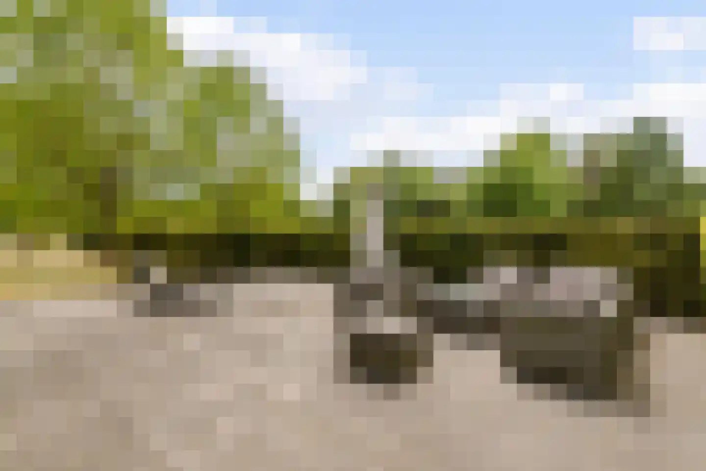 Oude Rijsbergsebaan 77 Breda thumbnail 32