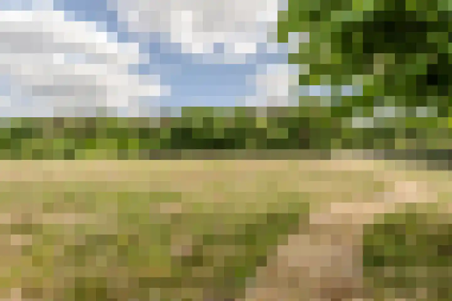 Oude Rijsbergsebaan 77 Breda thumbnail 34