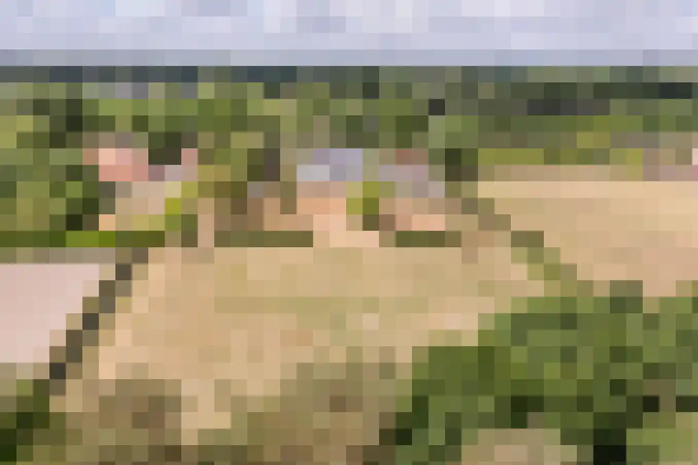 Oude Rijsbergsebaan 77 Breda thumbnail 39
