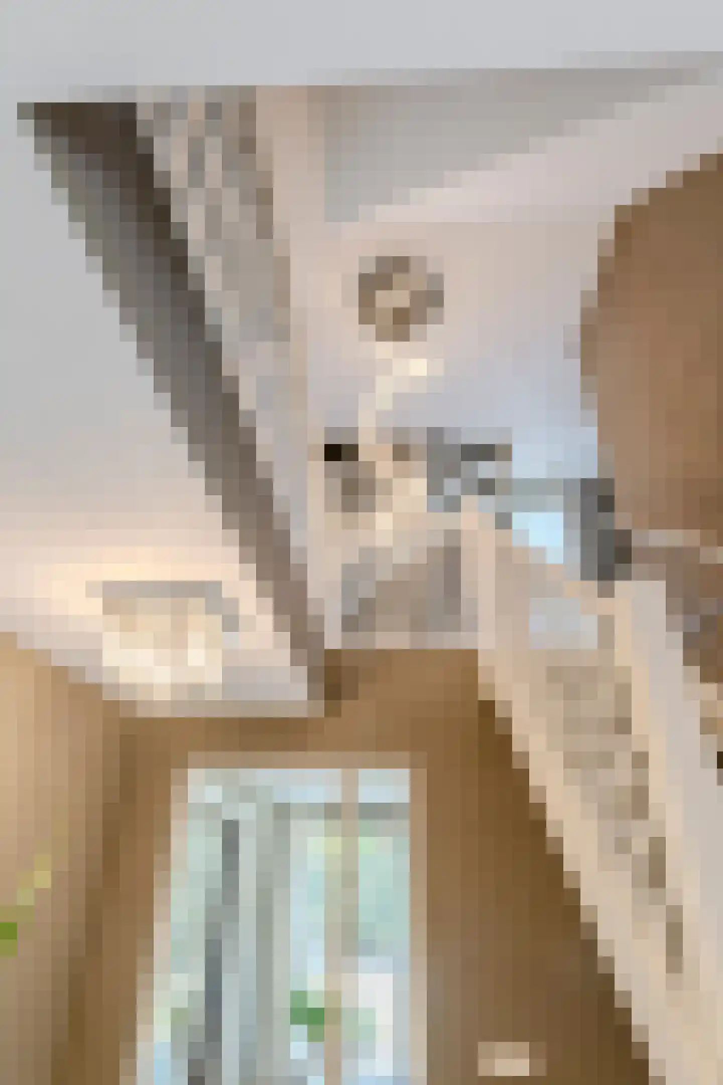 Oude Rijsbergsebaan 77 Breda thumbnail 6