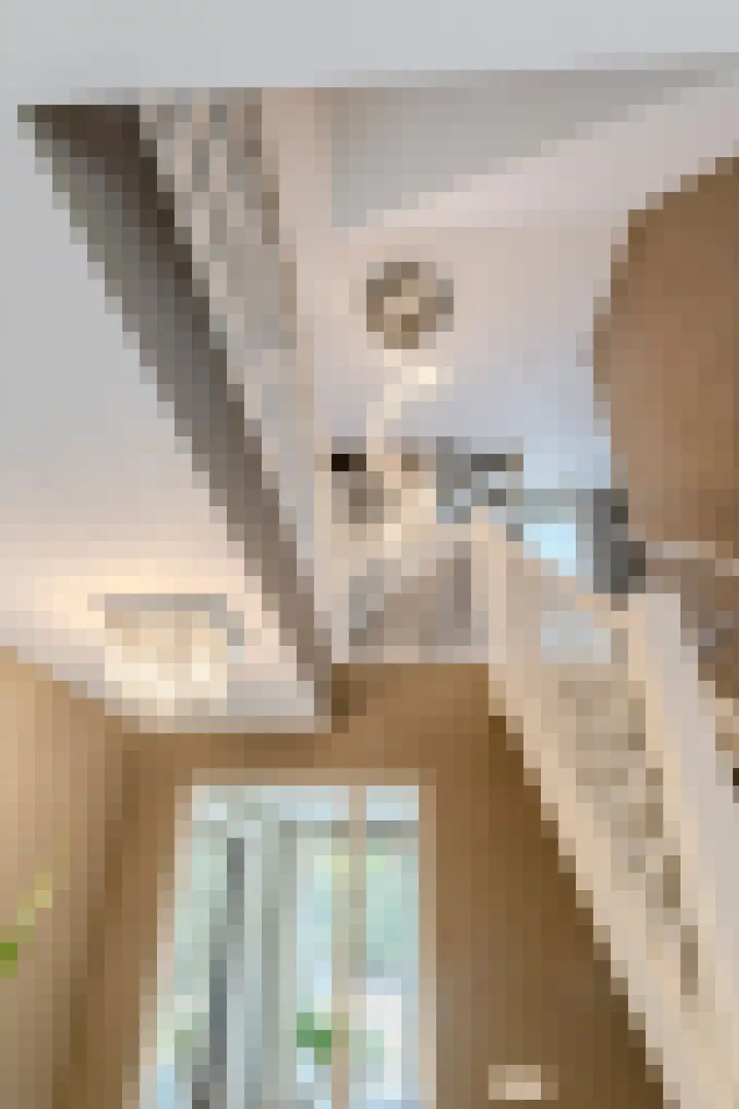 Oude Rijsbergsebaan 77 Breda thumbnail 6