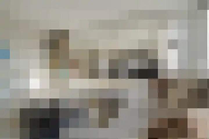 Oude Rijsbergsebaan 9 Breda thumbnail 13