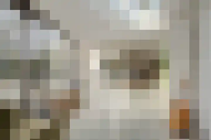 Oude Rijsbergsebaan 9 Breda thumbnail 16