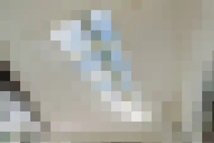 Oude Rijsbergsebaan 9 Breda thumbnail 17