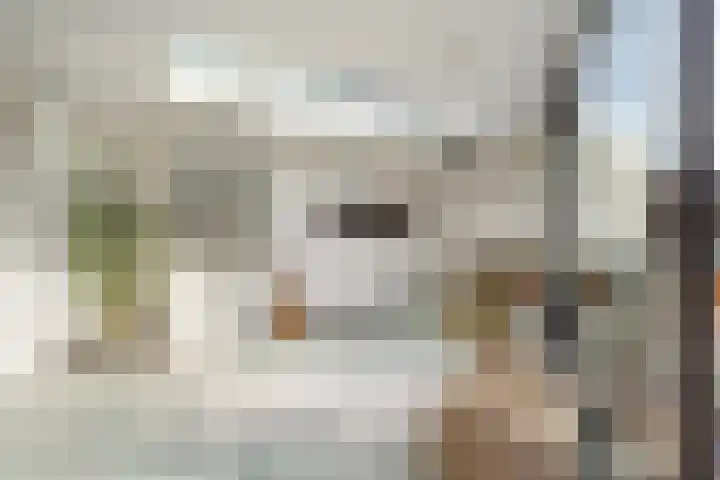 Oude Rijsbergsebaan 9 Breda thumbnail 18