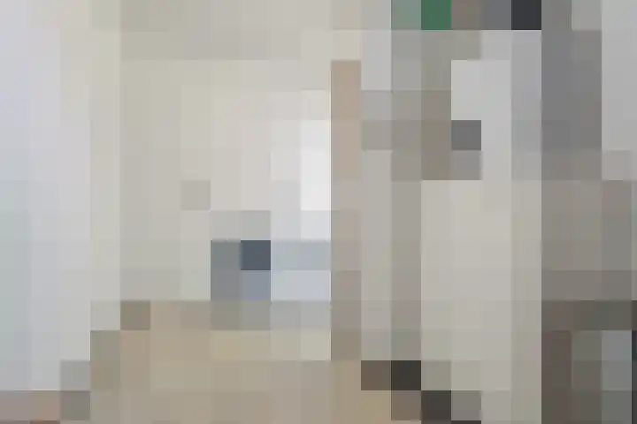 Oude Rijsbergsebaan 9 Breda thumbnail 25