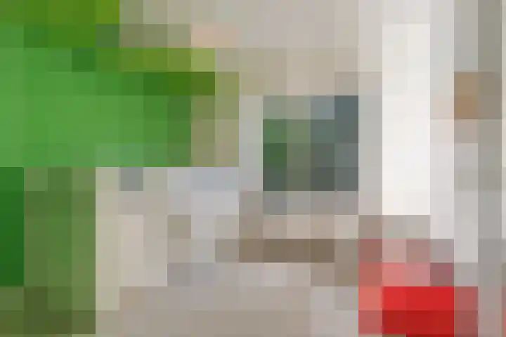 Oude Rijsbergsebaan 9 Breda thumbnail 27