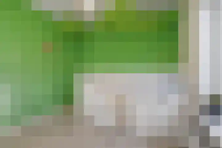 Oude Rijsbergsebaan 9 Breda thumbnail 28