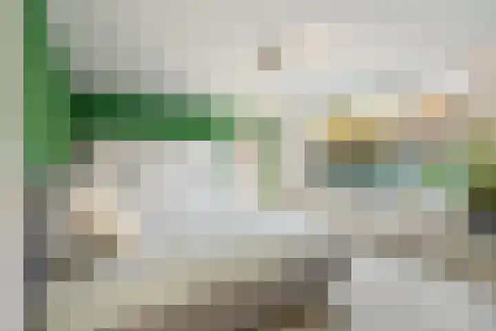 Oude Rijsbergsebaan 9 Breda thumbnail 31