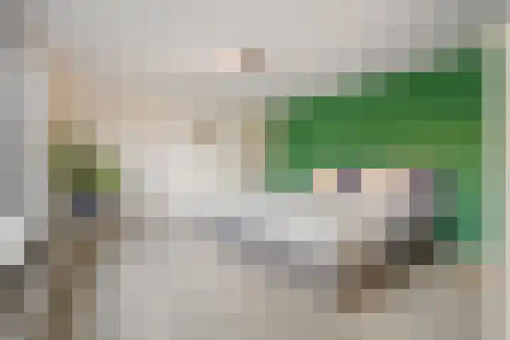 Oude Rijsbergsebaan 9 Breda thumbnail 32