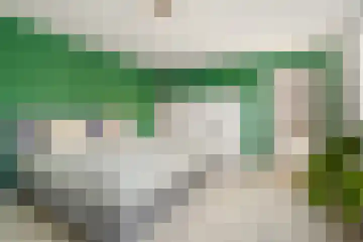 Oude Rijsbergsebaan 9 Breda thumbnail 33