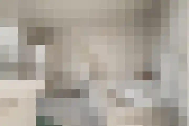 Oude Rijsbergsebaan 9 Breda thumbnail 34