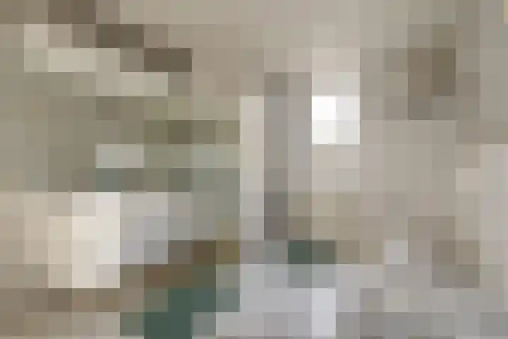 Oude Rijsbergsebaan 9 Breda thumbnail 36