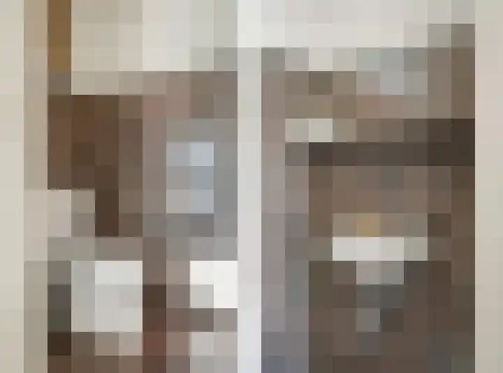 Oude Rijsbergsebaan 9 Breda thumbnail 37