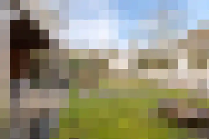 Oude Rijsbergsebaan 9 Breda thumbnail 39