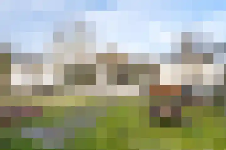 Oude Rijsbergsebaan 9 Breda thumbnail 4
