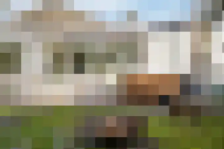 Oude Rijsbergsebaan 9 Breda thumbnail 41