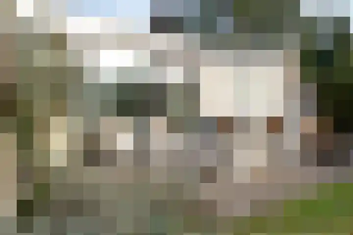 Oude Rijsbergsebaan 9 Breda thumbnail 42