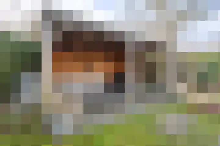 Oude Rijsbergsebaan 9 Breda thumbnail 43