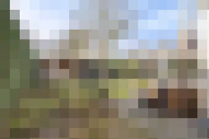 Oude Rijsbergsebaan 9 Breda thumbnail 44
