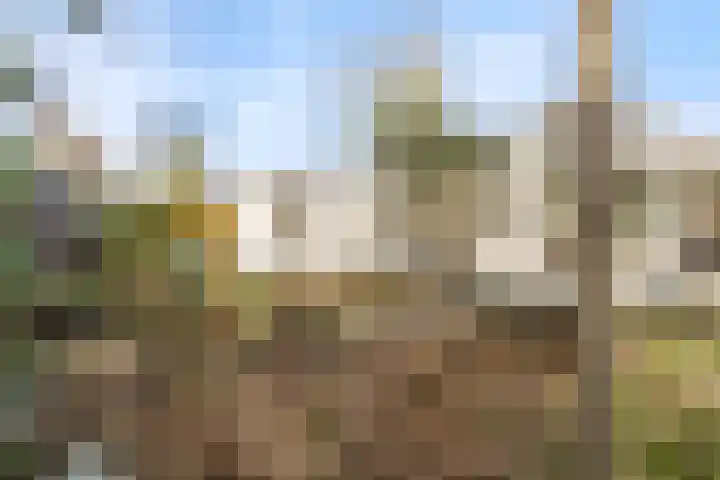 Oude Rijsbergsebaan 9 Breda thumbnail 45