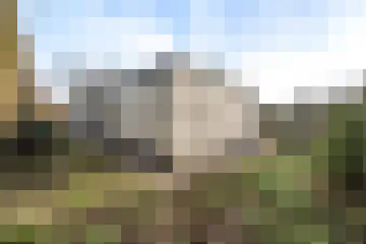 Oude Rijsbergsebaan 9 Breda thumbnail 46