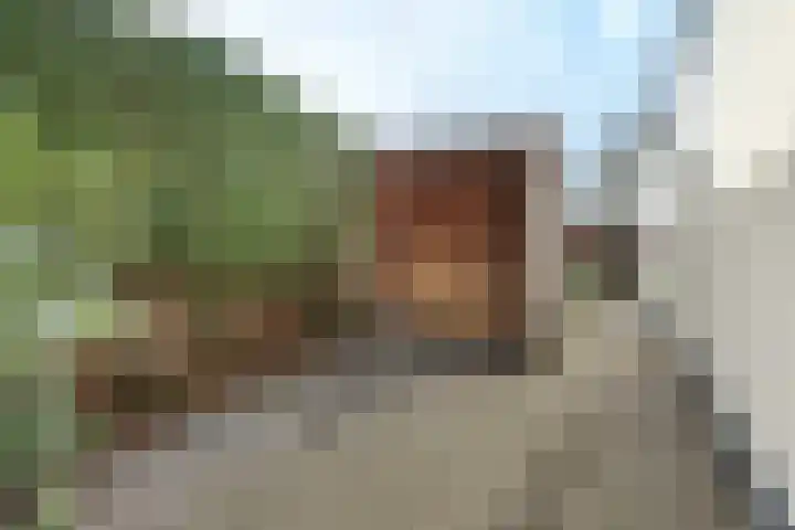 Oude Rijsbergsebaan 9 Breda thumbnail 47